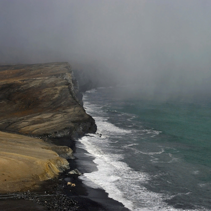 Пейзаж с белыми медведями