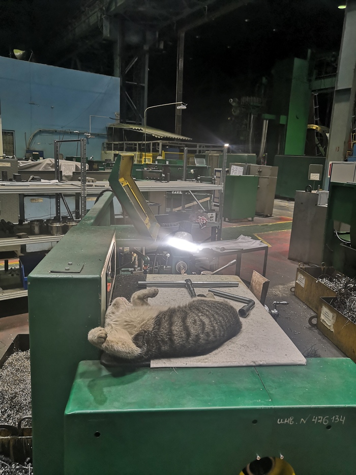 Был пойман спящим в ночную смену на рабочем месте!