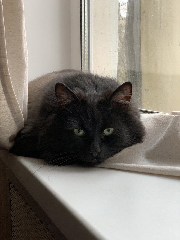 �������������