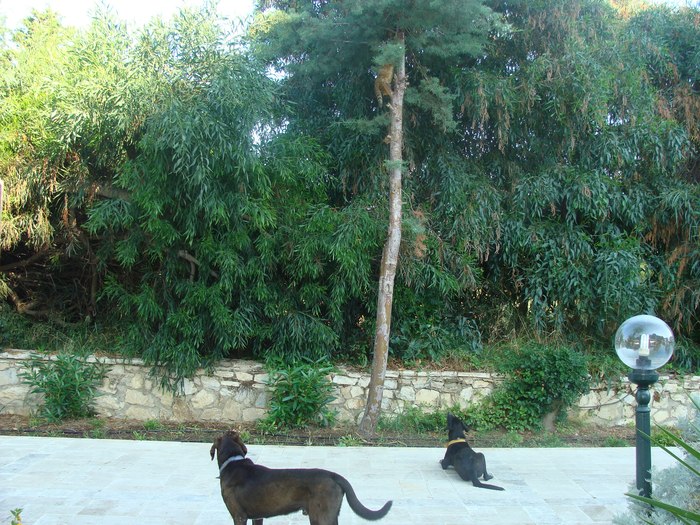 ������,��� ��� ������