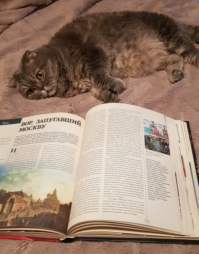 метка кота что это. Смотреть фото метка кота что это. Смотреть картинку метка кота что это. Картинка про метка кота что это. Фото метка кота что это
