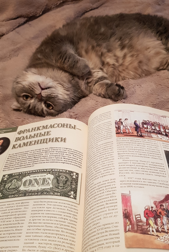 метка кота что это. Смотреть фото метка кота что это. Смотреть картинку метка кота что это. Картинка про метка кота что это. Фото метка кота что это