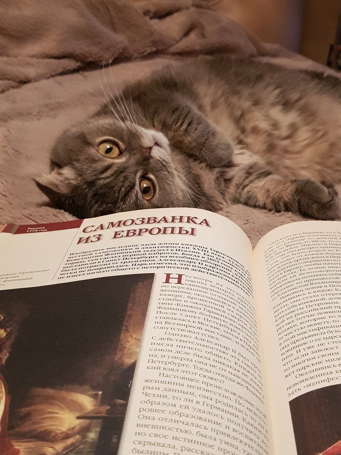 метка кота что это. Смотреть фото метка кота что это. Смотреть картинку метка кота что это. Картинка про метка кота что это. Фото метка кота что это