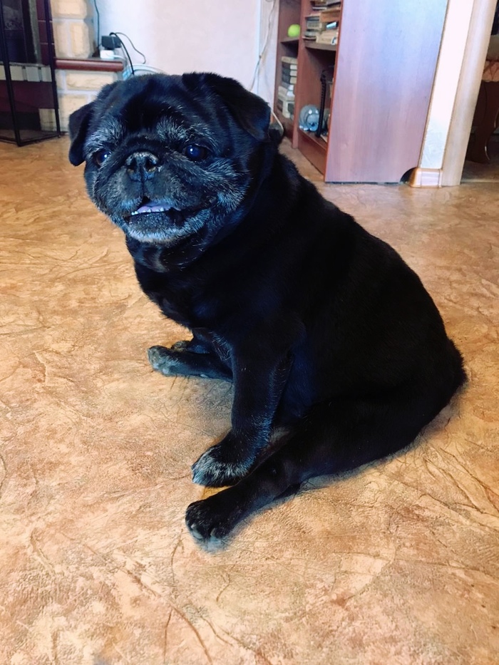 ������ ���