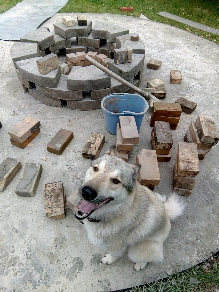 Мой собакен