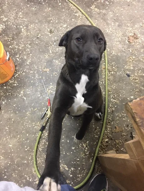 Ты мой людь!