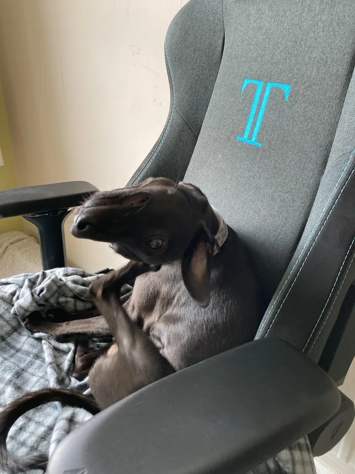  ,  , 