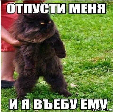 ������ � �����