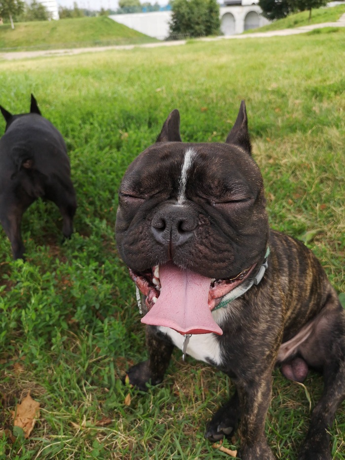 ������ �������