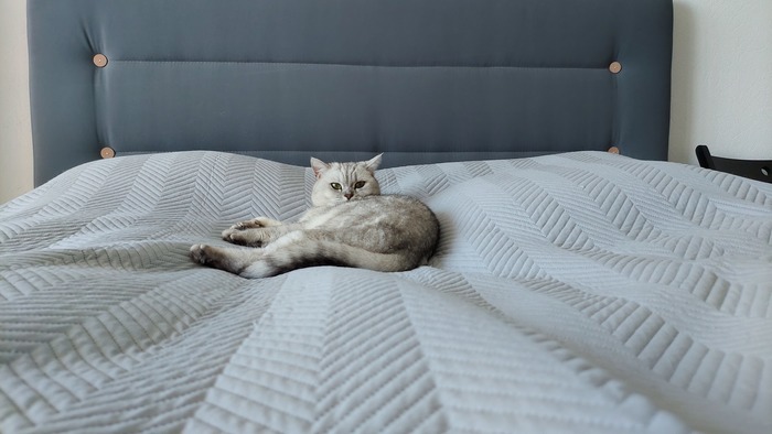 �� ���� �������