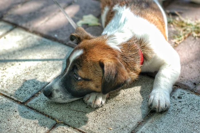 ������� �����!