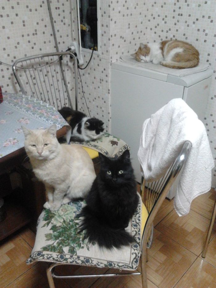 ��� ����� �������� � ������ ������ �����