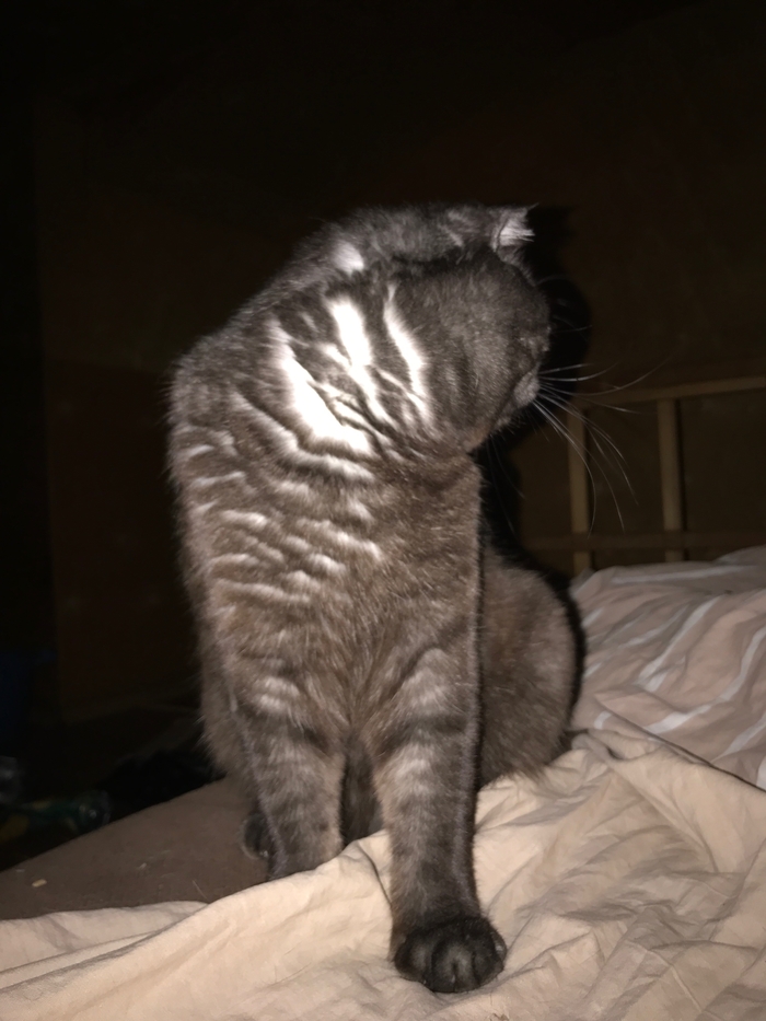 Когда слышишь, что кожаный мешок идет насыпать еду