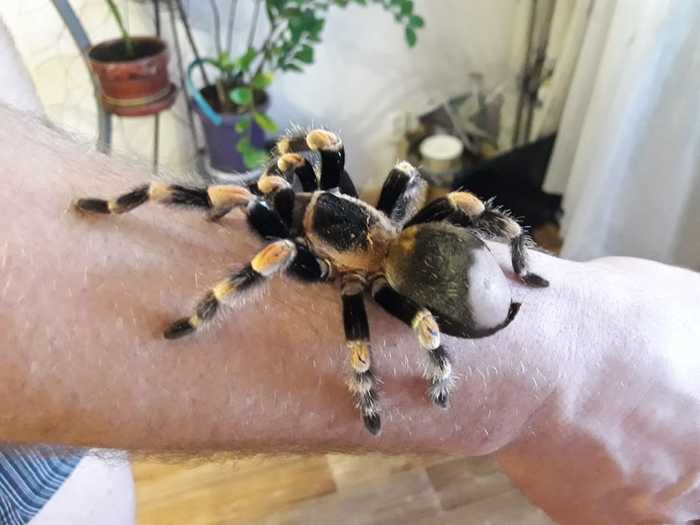 Надо поставить точку в этой битве