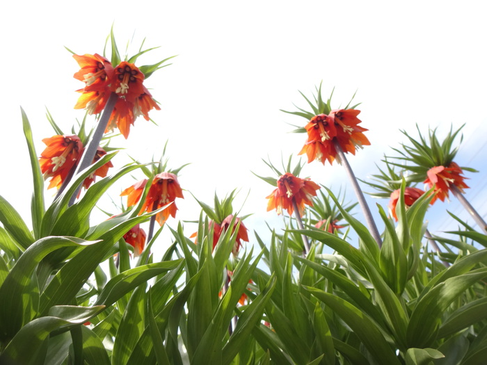 ������������� �������