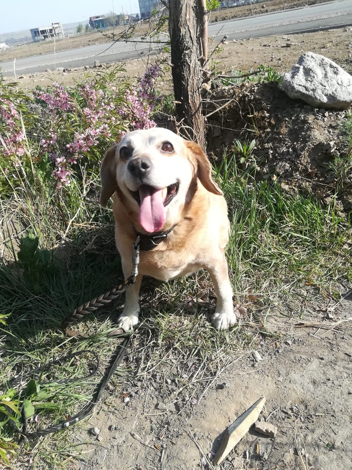 На прогулке )