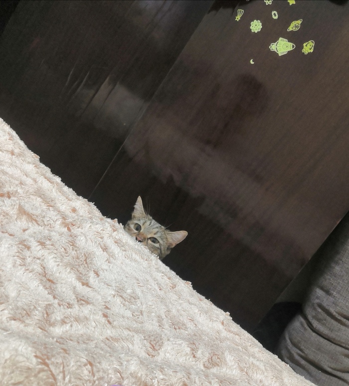  ,   , , 