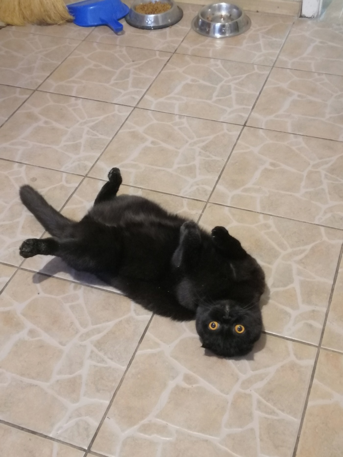 ����� ����� � �����