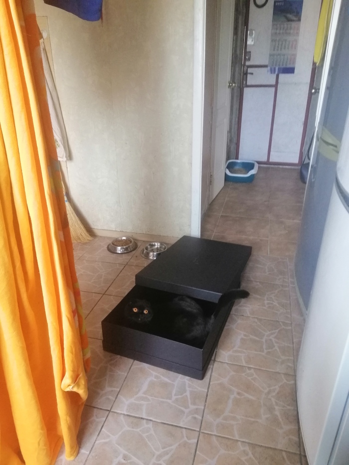 ���� ������ �����