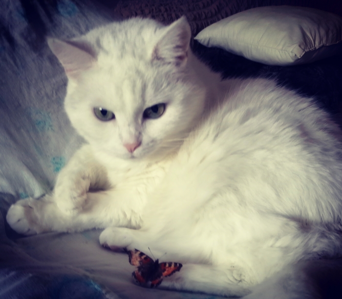 ������� � ������