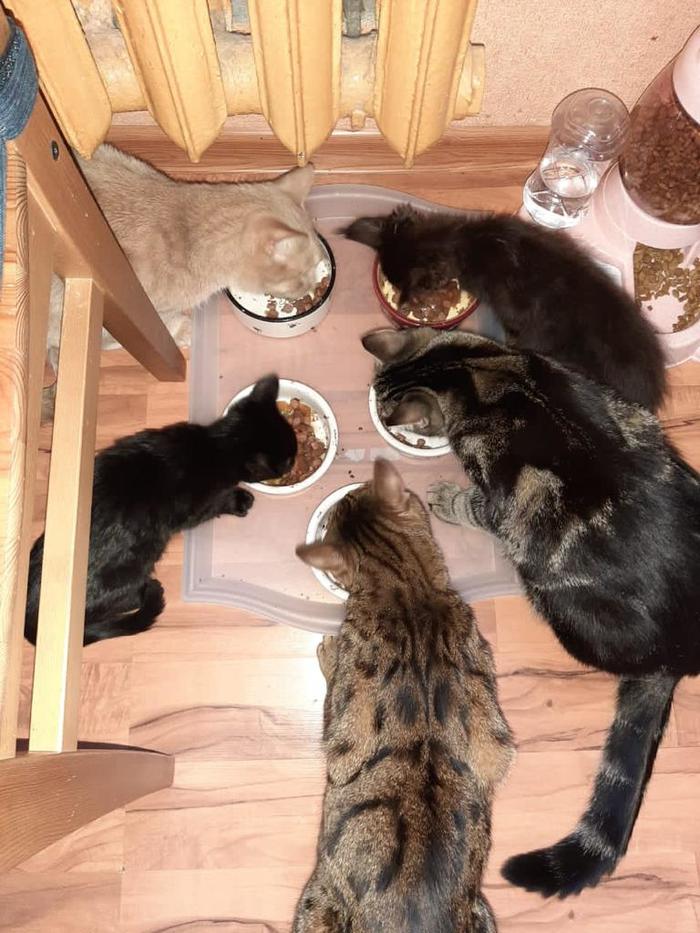 ��� ����!