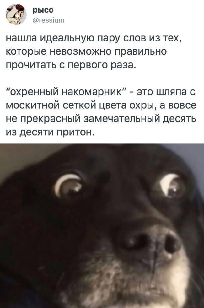 ����� ���� ������� ��� �������?