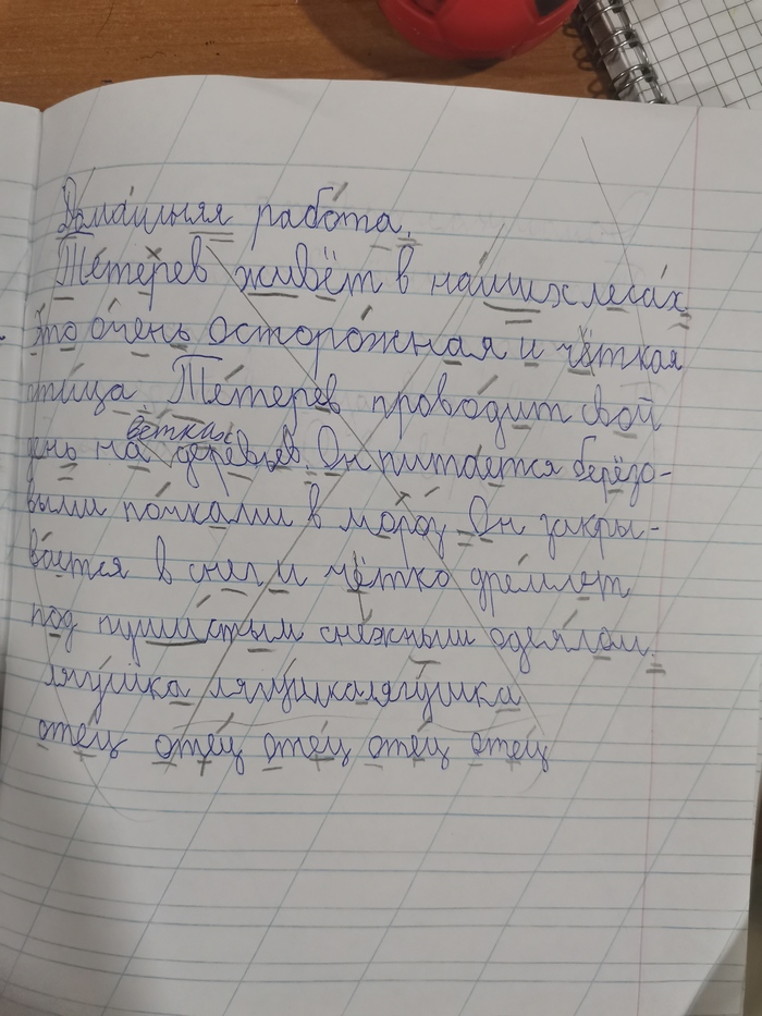 Тетерев - птица чёткая