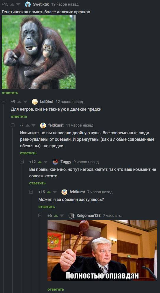 Законы Пикабу строги, но справедливы