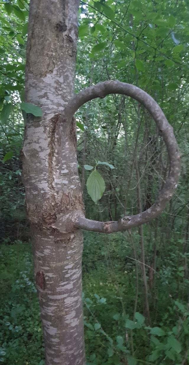     , , , , , , 