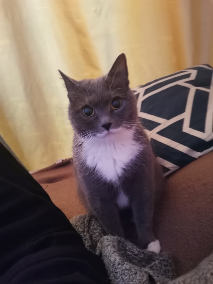 Ну давай все-таки договоримся на лишнюю порцию, м?