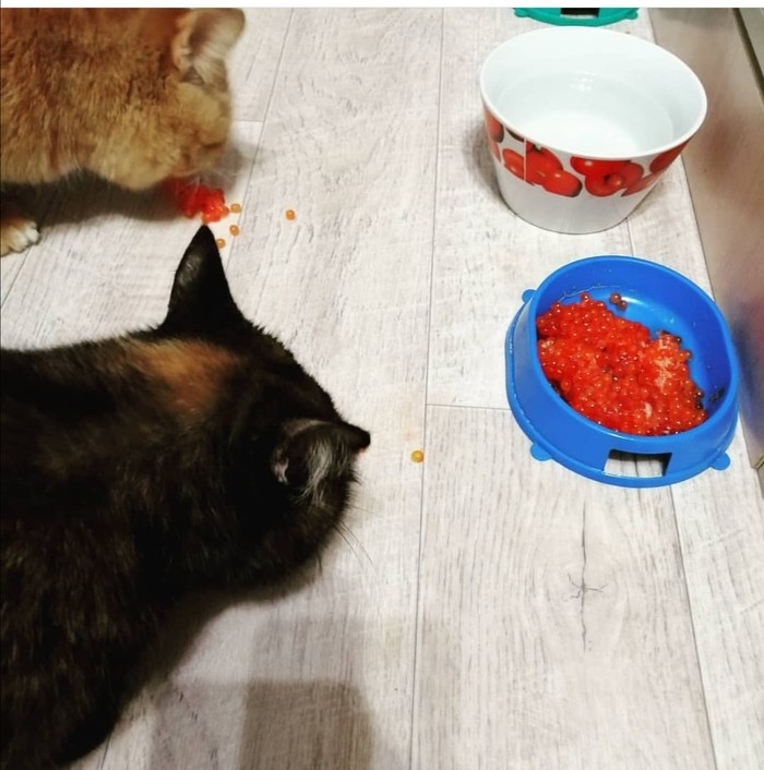 ����� �� ���� ������ ���� ������