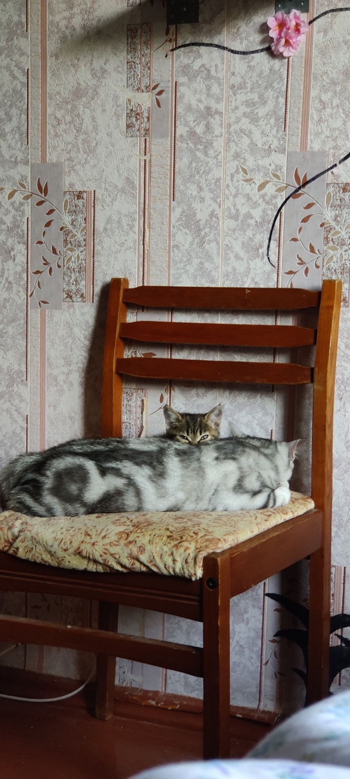 На боевом посту