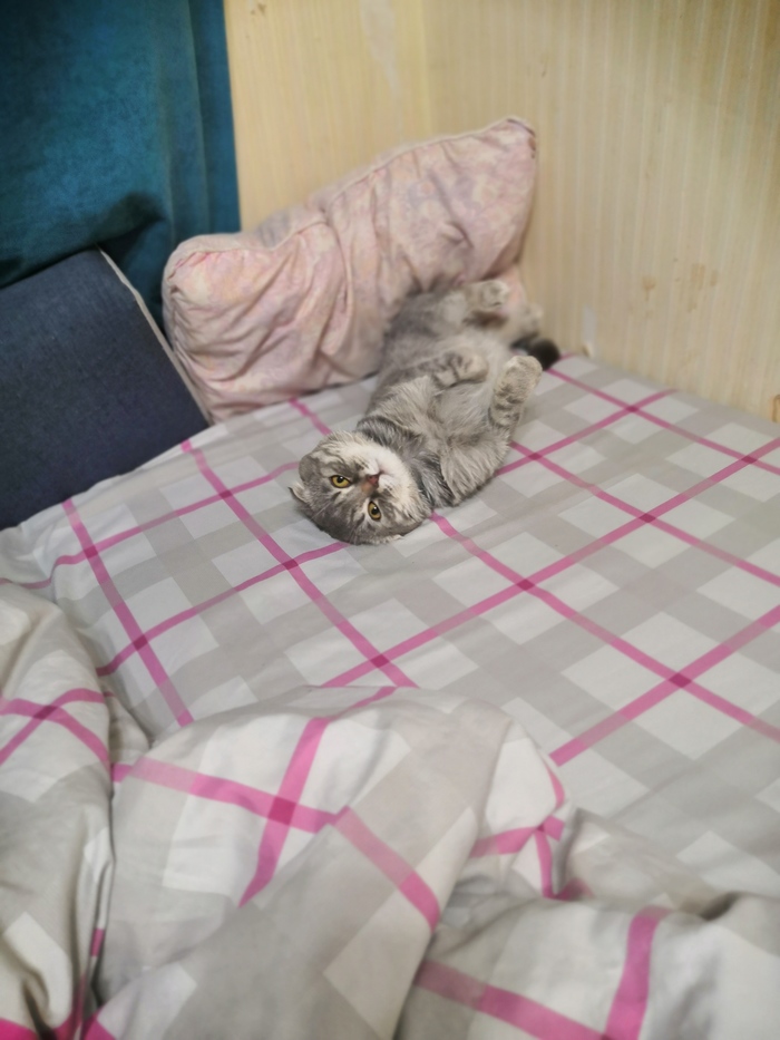 �� ���� ������ �������