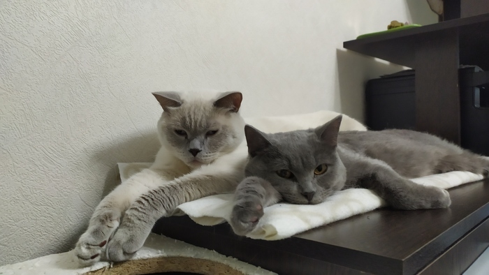 Присоединяюсь