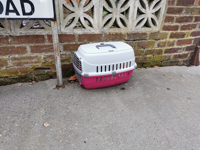 �������� - ���� ����� ��������� ����������!