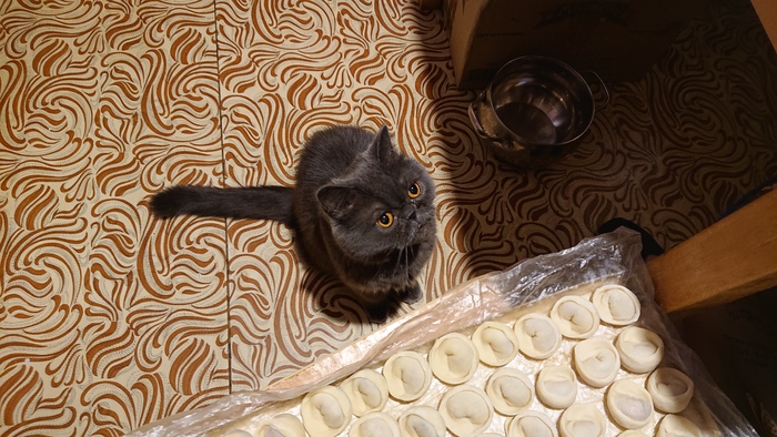 ��� ���� ����? � ���� �����?