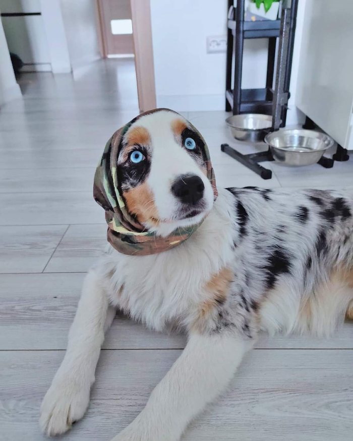 ?  ,  -   ,  , ,  