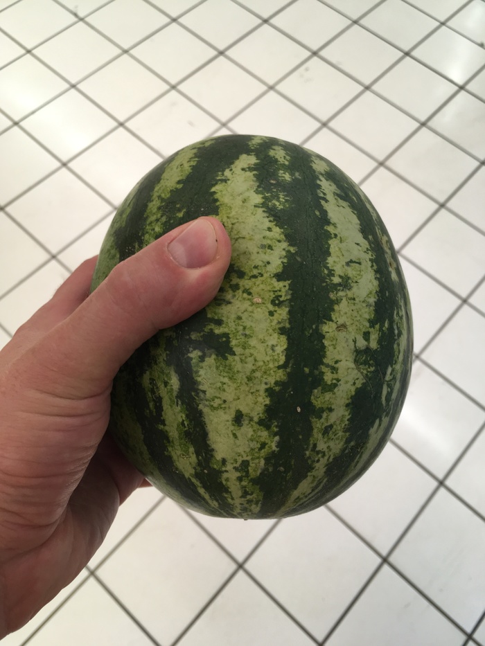 Ответ на пост «Шестигранник пикабушника»