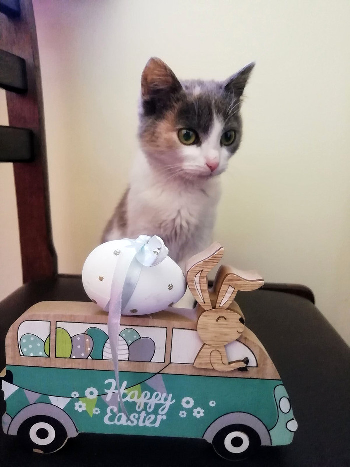 ����� ��������� �����