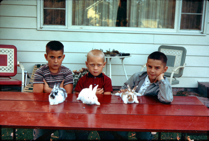 ������� ����