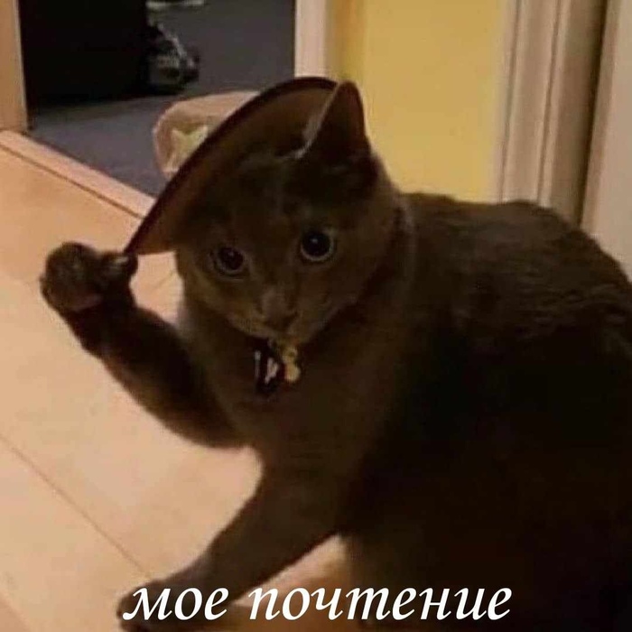 Утка просто потому что могу