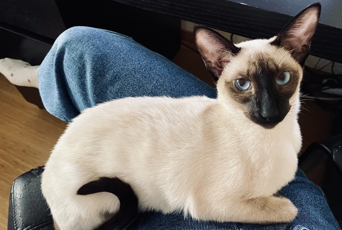 Давай посидим вместе, человек