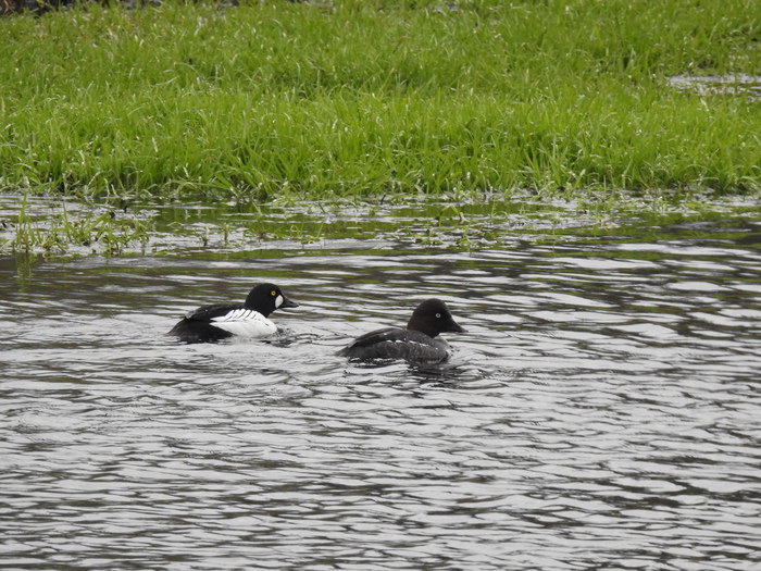 ������ �� ���� ���