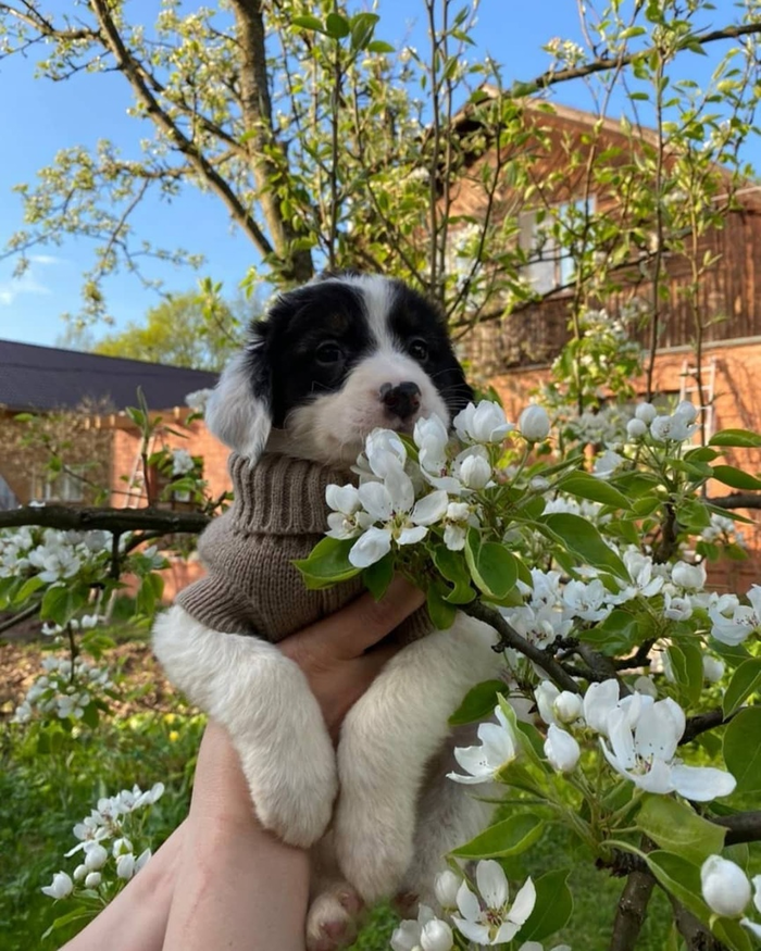 �����-�!