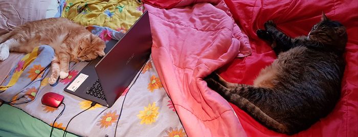 ���� � ��������