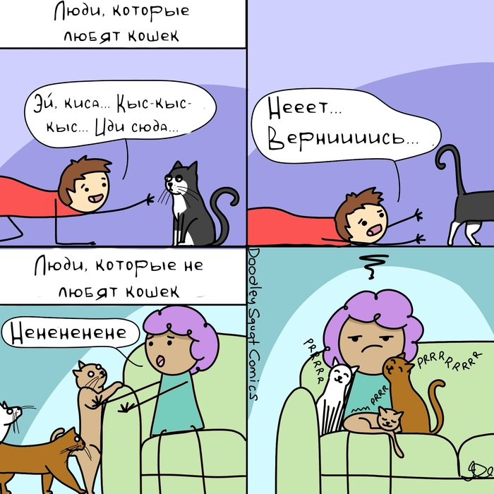 Про кошек | Пикабу