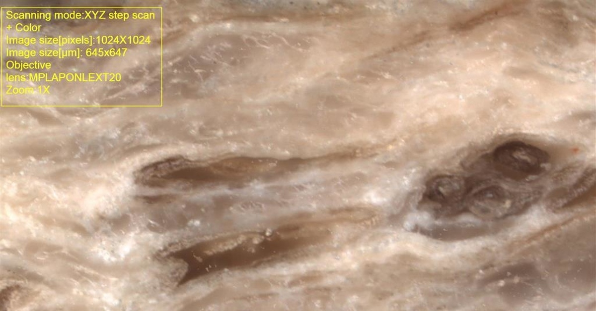 Микроскопическое исследование | Пикабу