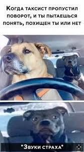 ������ ��������...