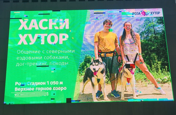 Защита свидетелей | Пикабу