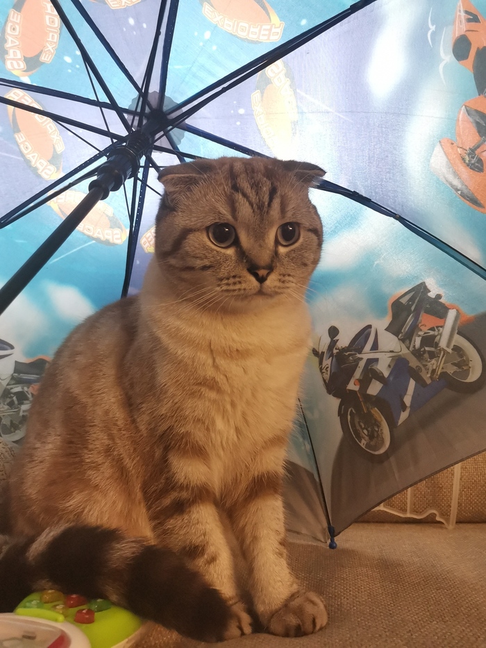 ����� ������� ��� � �����